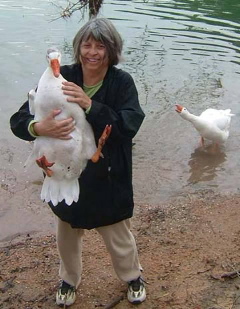 jan and geese